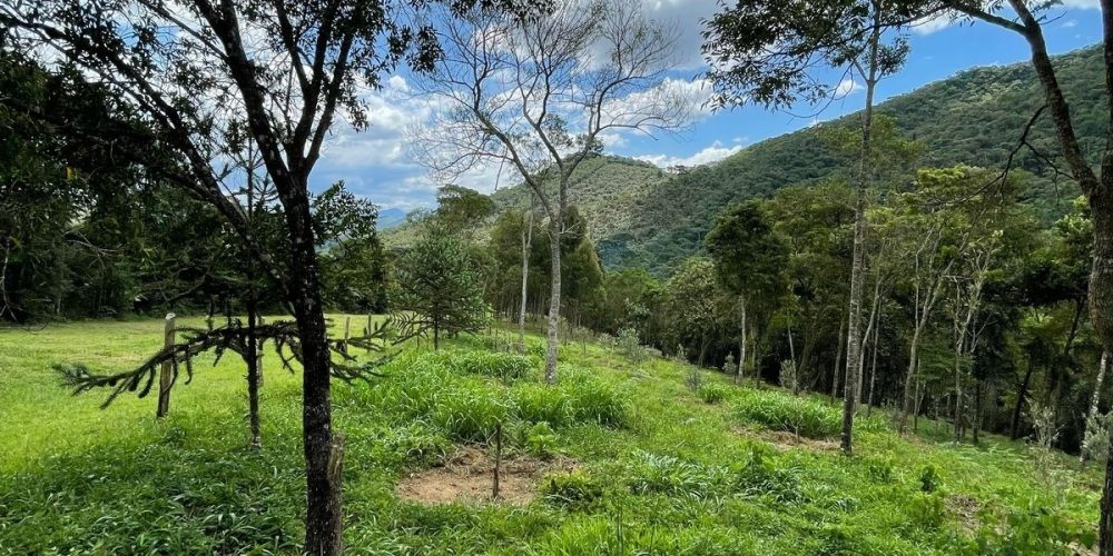 01dc47a7-5c5c-406f-8046-97453e4e77e7