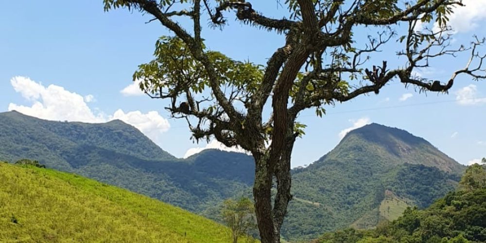 06cf56ec-00c2-46d4-ba8e-cbb535732d7b