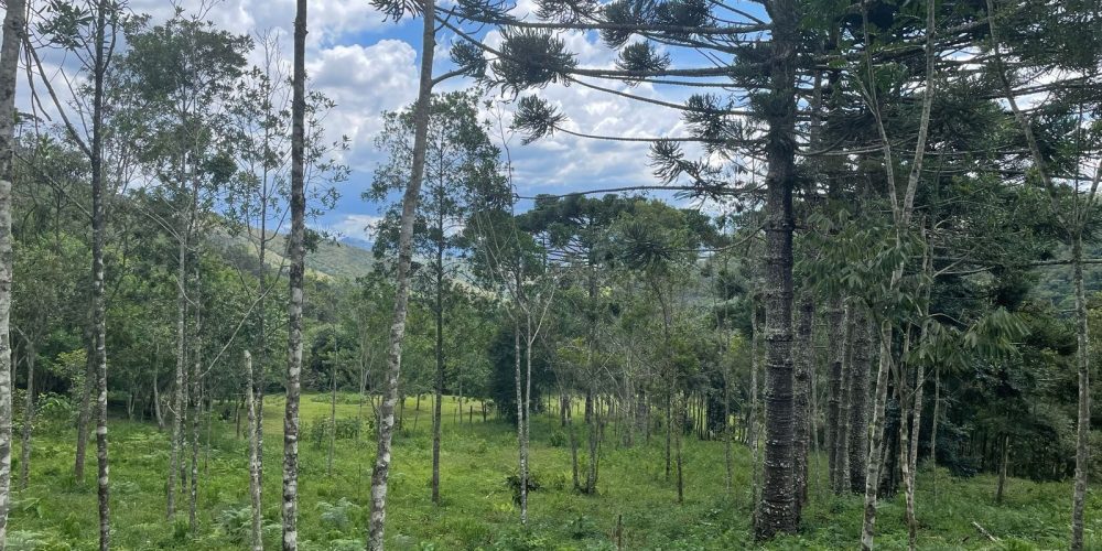 130f38f5-a874-448e-a705-264354caffc0