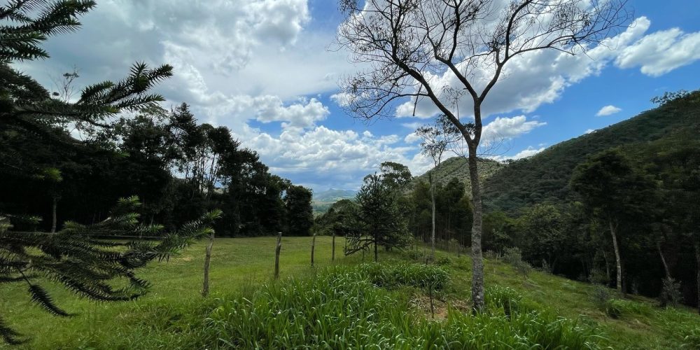 1515cd3b-6073-4e64-97b9-8202e5920fa0