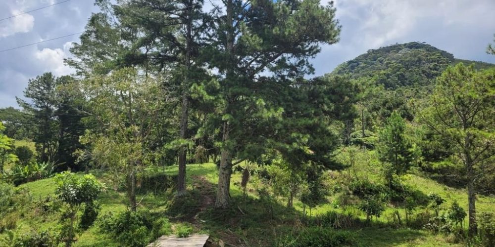 1761aac8-e103-4e54-b753-7c0d2024223d