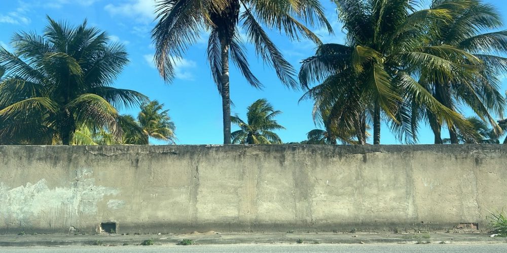 1e770b2a-162f-4f36-af4d-73d520145b0f