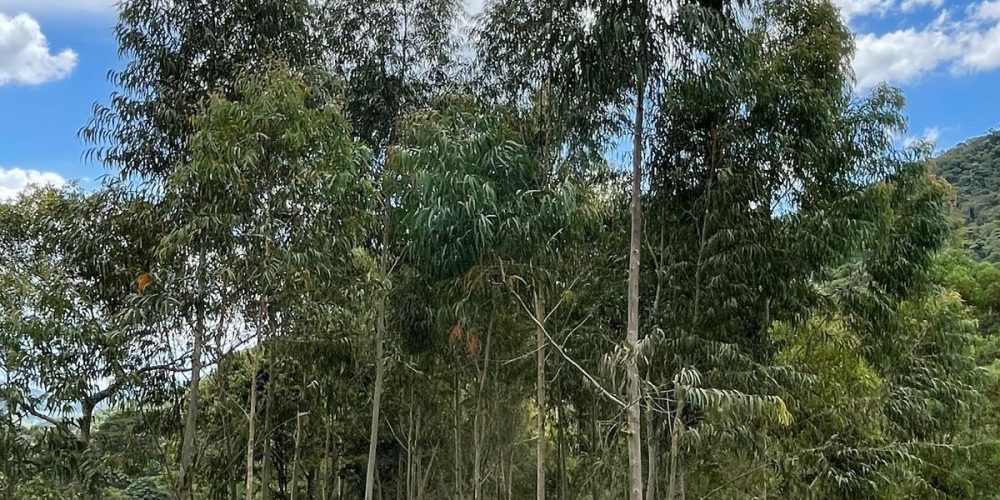 1f5eadb3-915e-4ac5-86aa-b68e649057a5