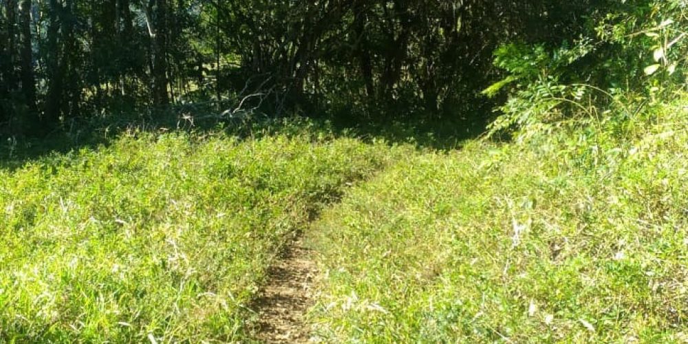 2002d01f918dda151cb52666d2e99ea1