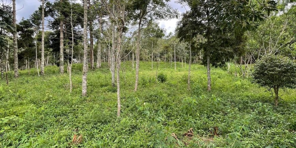 201b771a-f82b-4d47-8312-9868a40a802f