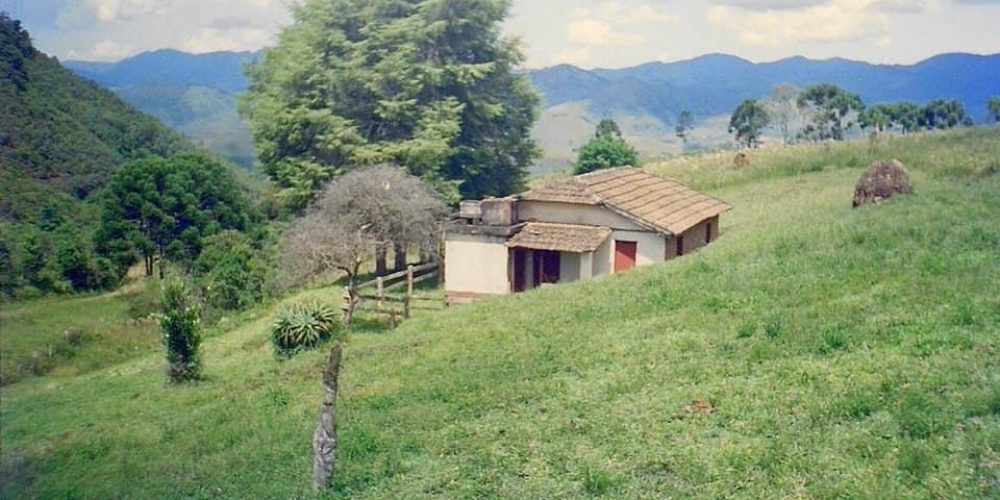 21e6d4b7-9724-4fa2-ba02-85003454101e