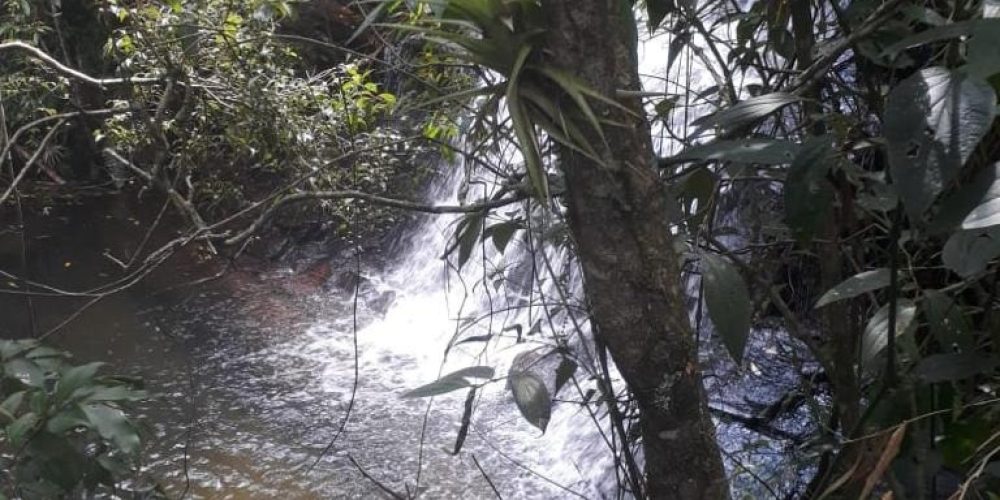 22158d28-7222-4fb7-8476-ddd0caf76919