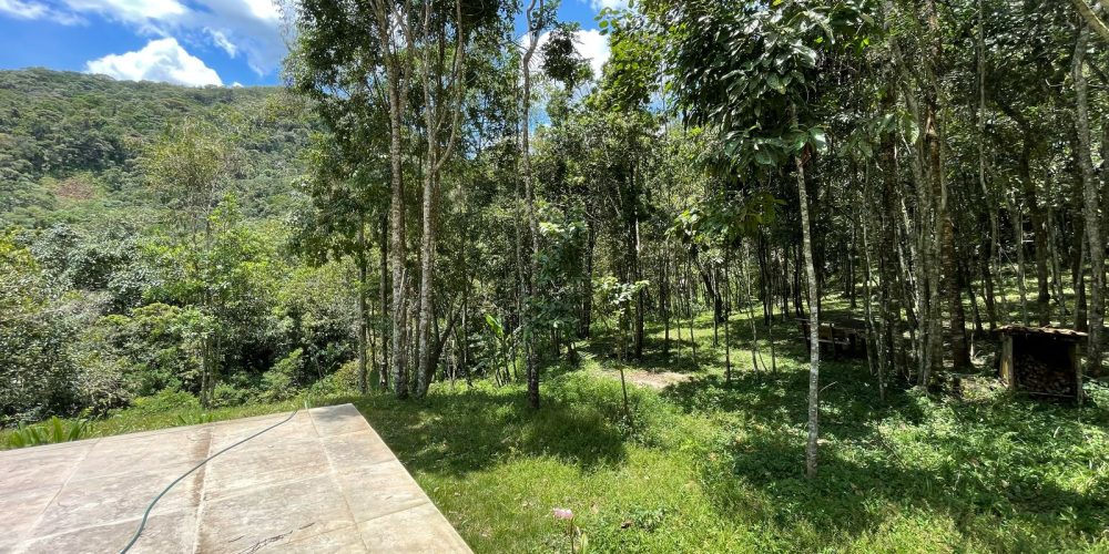 25b22e29-2597-4d04-ab0f-599bfe269bce