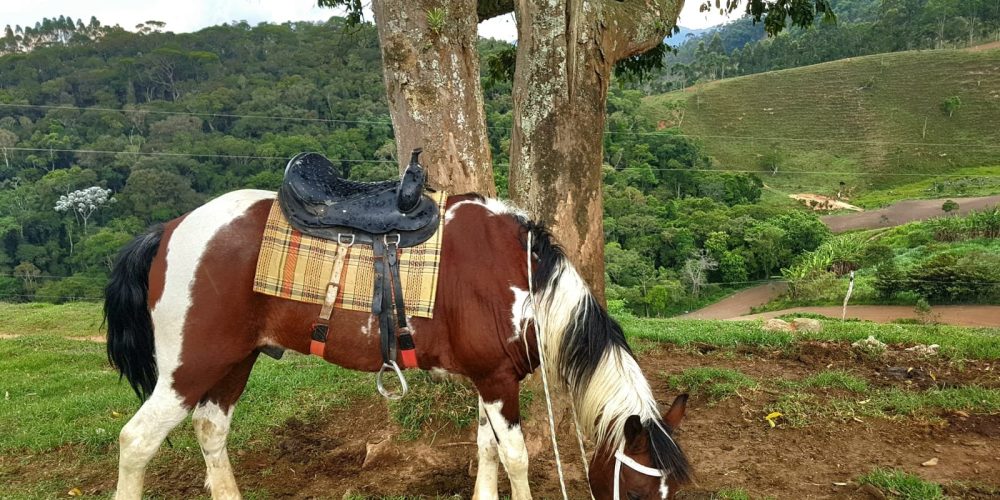 263e369e-838f-414e-904d-28beb2e88d26