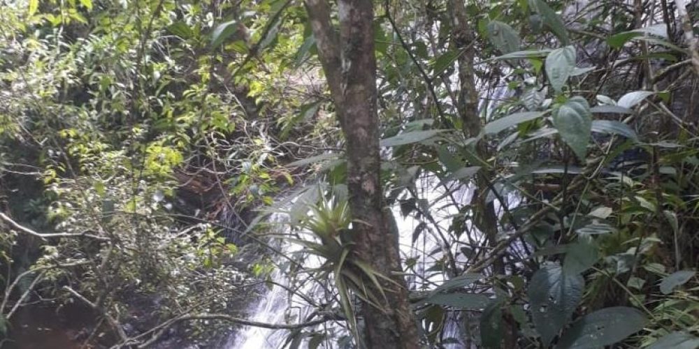 26c0b690-2acf-43da-b589-e4f135b071b8