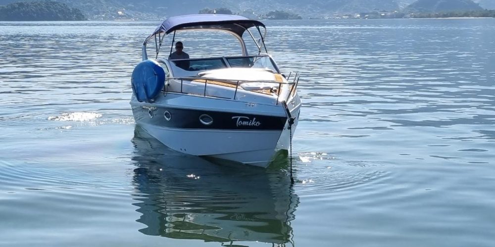 274a39ec-1f28-42be-86d5-bc44abf57d3f