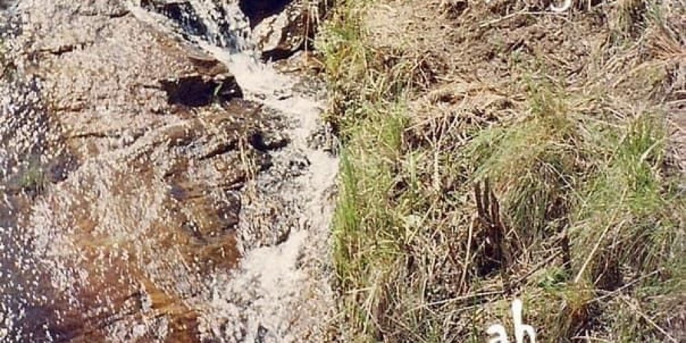 29030406-1b34-4051-927f-f590db513b71 - Copia