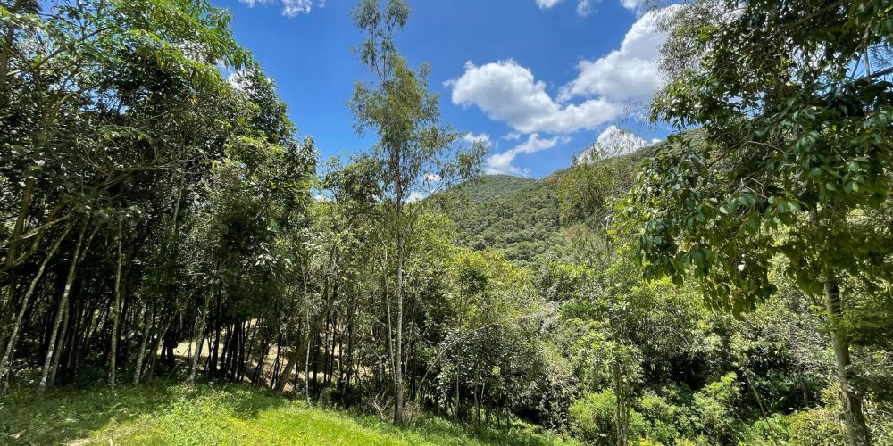 2a7d3e63-c193-42b3-b446-4106fd337530