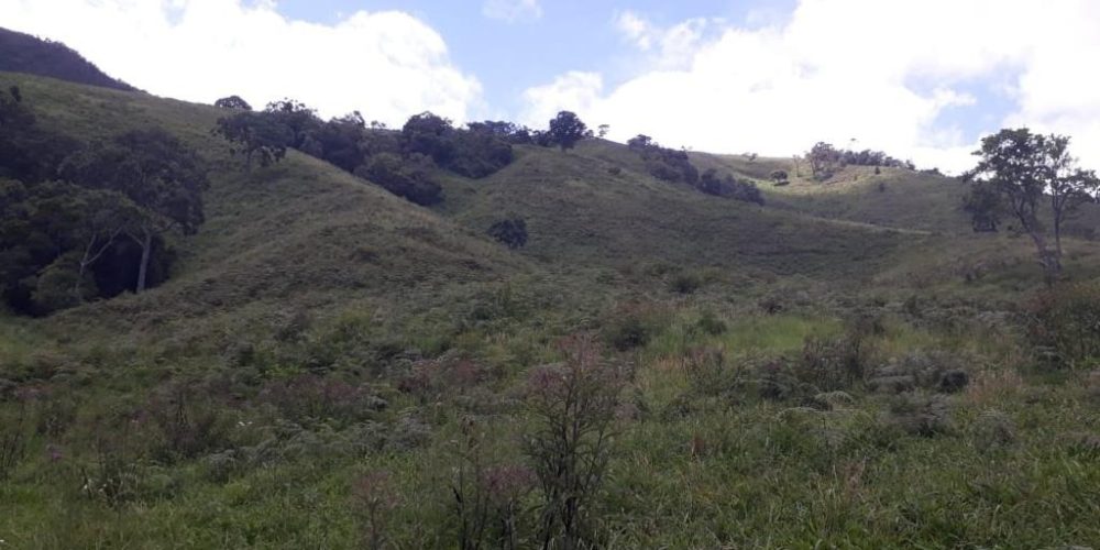 2b19ca37-37e3-4211-b5bf-463cd1360378