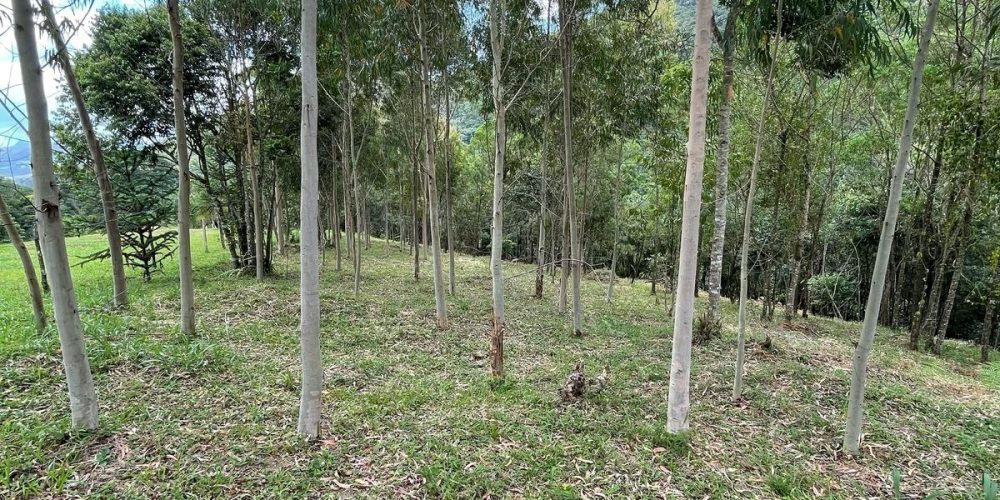 2ecc9f1a-b897-4caa-8c85-155377a0eaf3