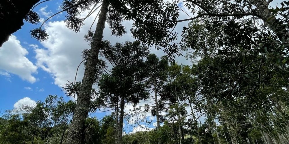 30937669-2b63-4412-a466-0de61b90dc51