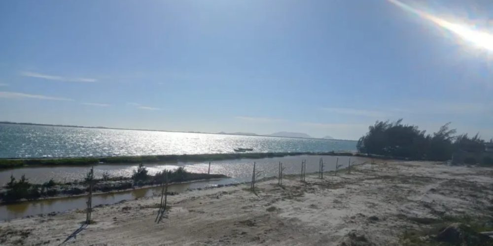 30fc8717-48ae-499b-b861-e669b3af0980