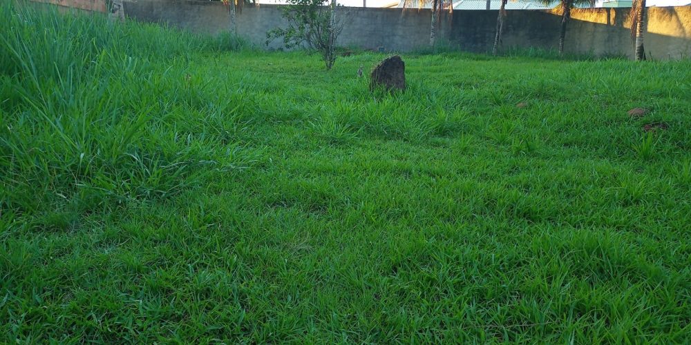 331a539f-8238-4c4a-92e1-140c957f40c6