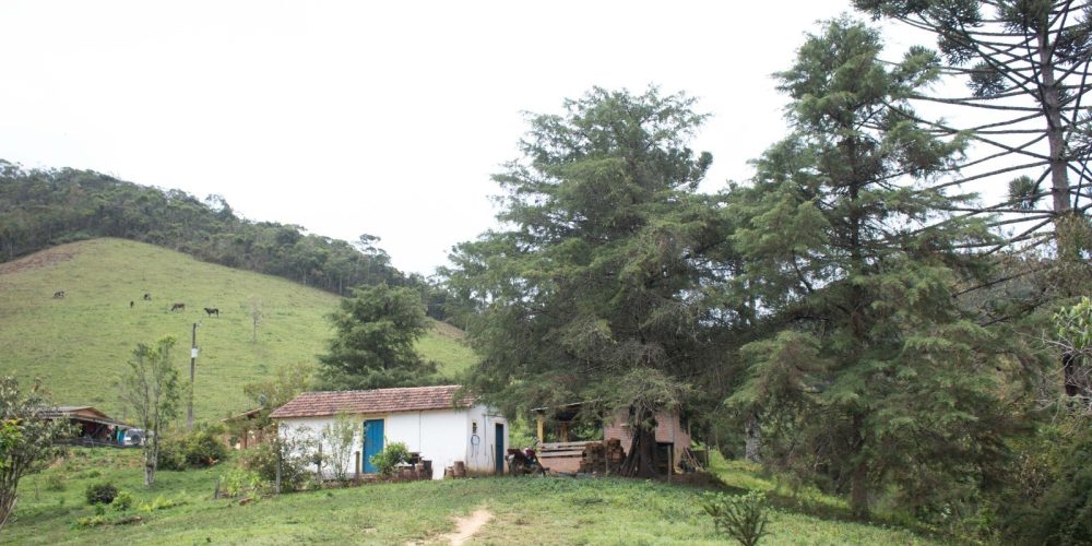 37a1f62a-2a1a-4cee-b782-befc2963e677