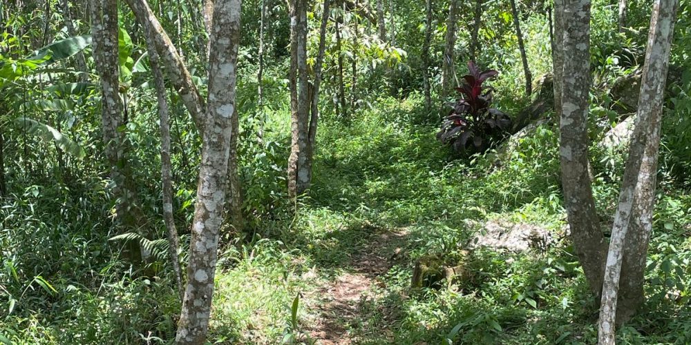 3b37307b-fac2-4af7-a559-e6fe4acdf28c