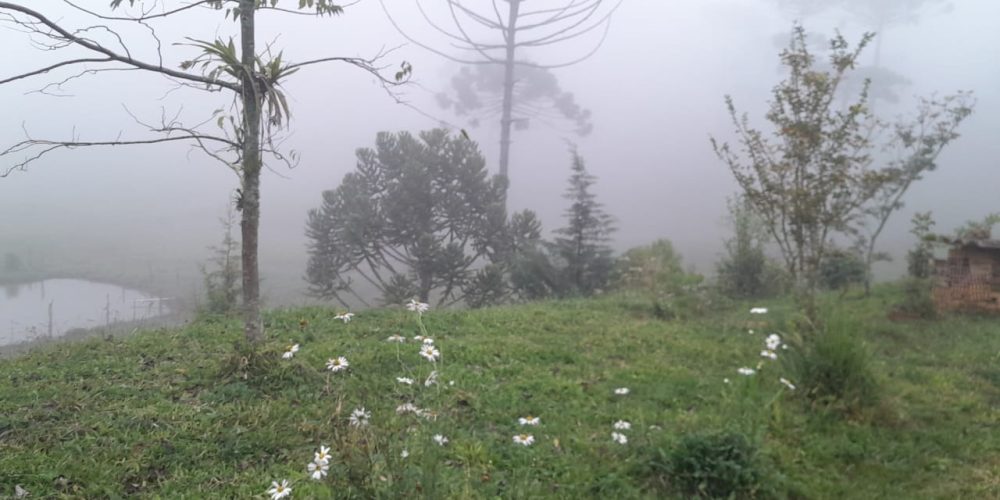 3ba6ec50-2d3a-4e78-8ec2-29f7a919e202