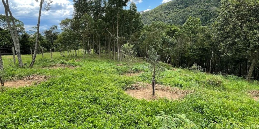 3c563055-576d-426b-857b-6f41565a391b