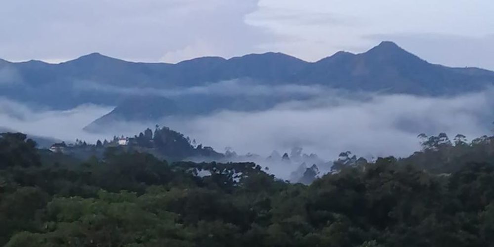 3eaa99ad-c752-4007-a48d-5442835ec505