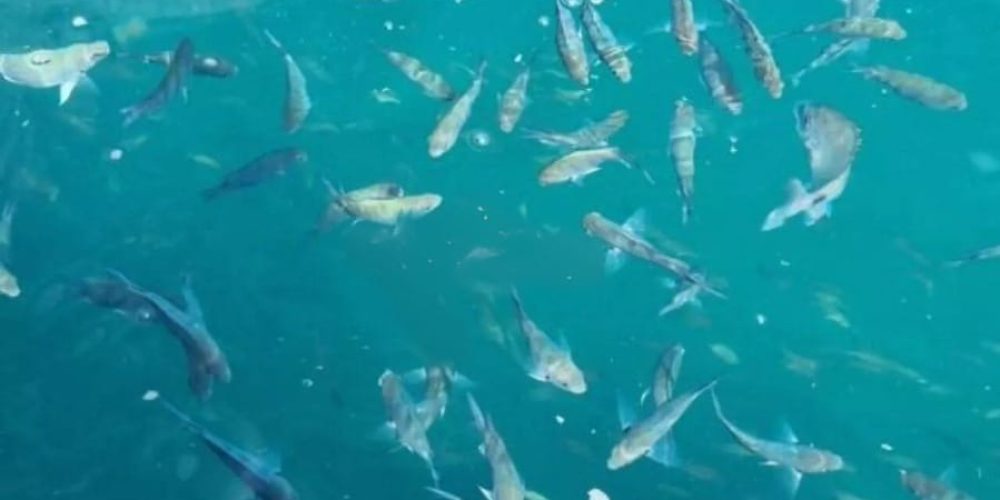 405c34b0-68e8-454e-87cd-78d222d97c33