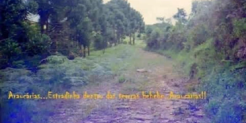 42bfcc90-262e-40aa-8a1a-757c87317eb4