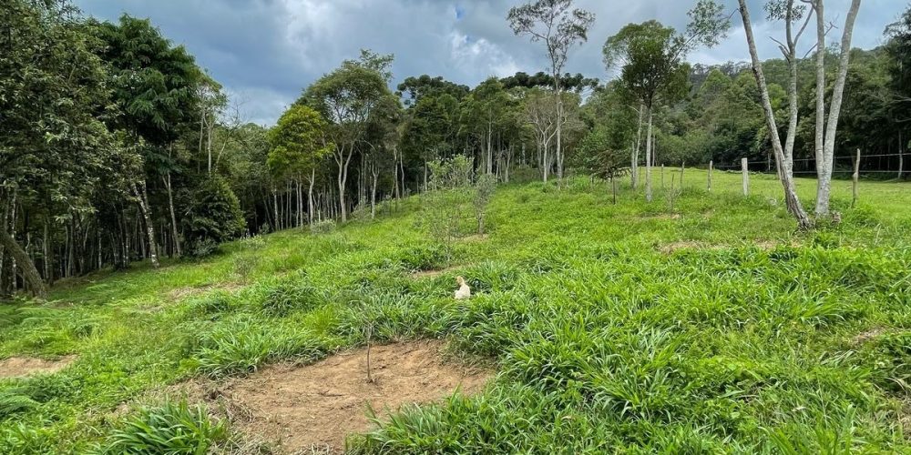 47786fdc-67e8-4fd8-934c-77d82931b510