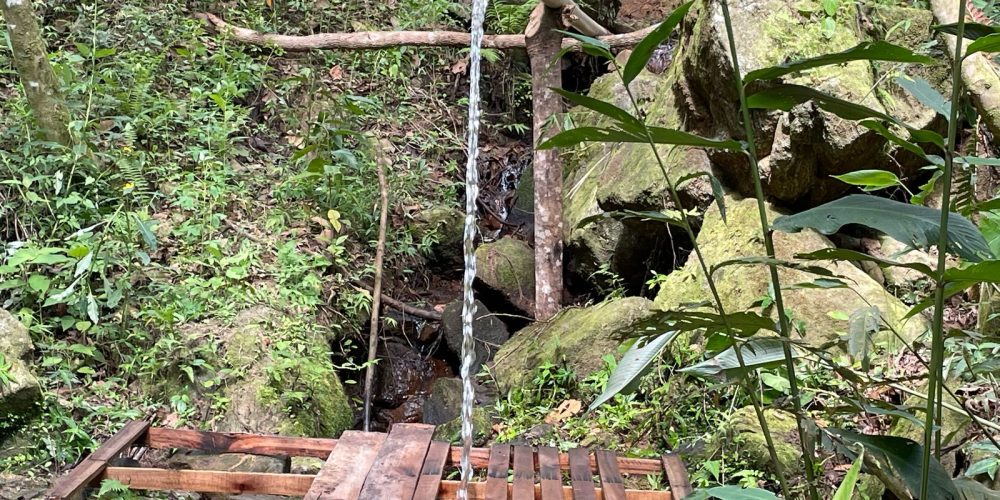 4eacd5ce-df1b-40a6-8b10-991d9686b518