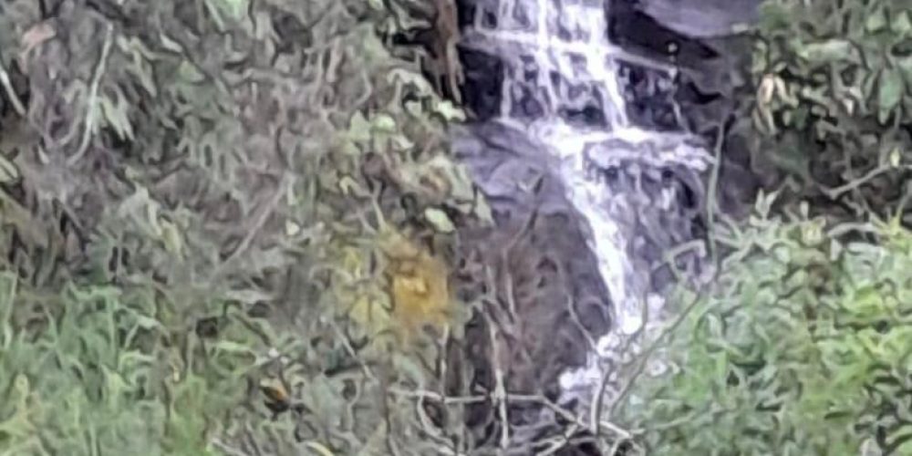 4f3fde77-3cbb-4e51-8888-d513c93b206e