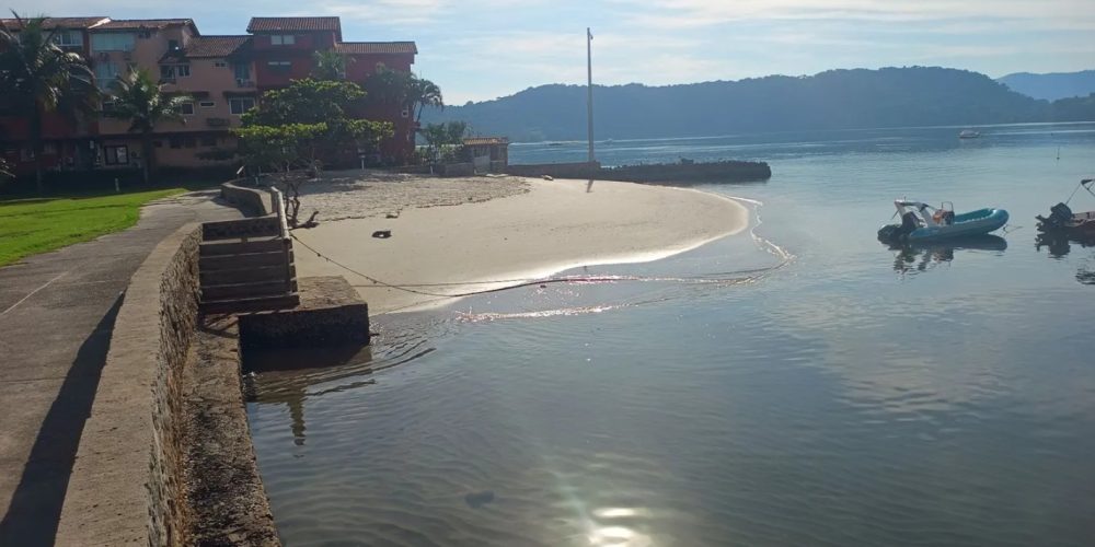 50b532d3-6c59-4a45-b3cc-dcfff49bf375