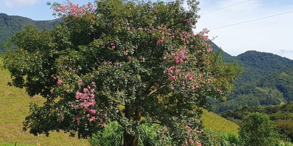 59d1e901-e503-4fc9-9194-ebcfbdaa9992