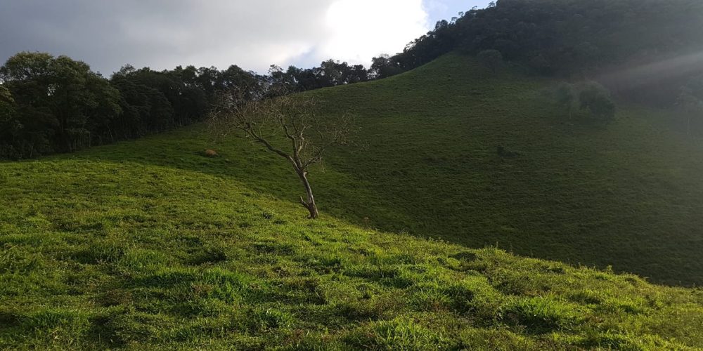 62b8e27b-e6d7-43e8-b9f9-e4ccd32255aa