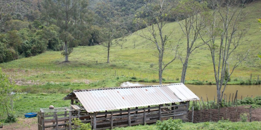 6c06c1ff-81ad-487c-8ff9-ef6f552153fd