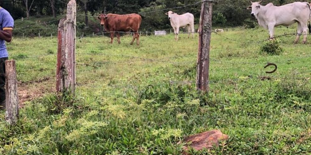 70aee616-eda6-444a-903a-986ec866ef44