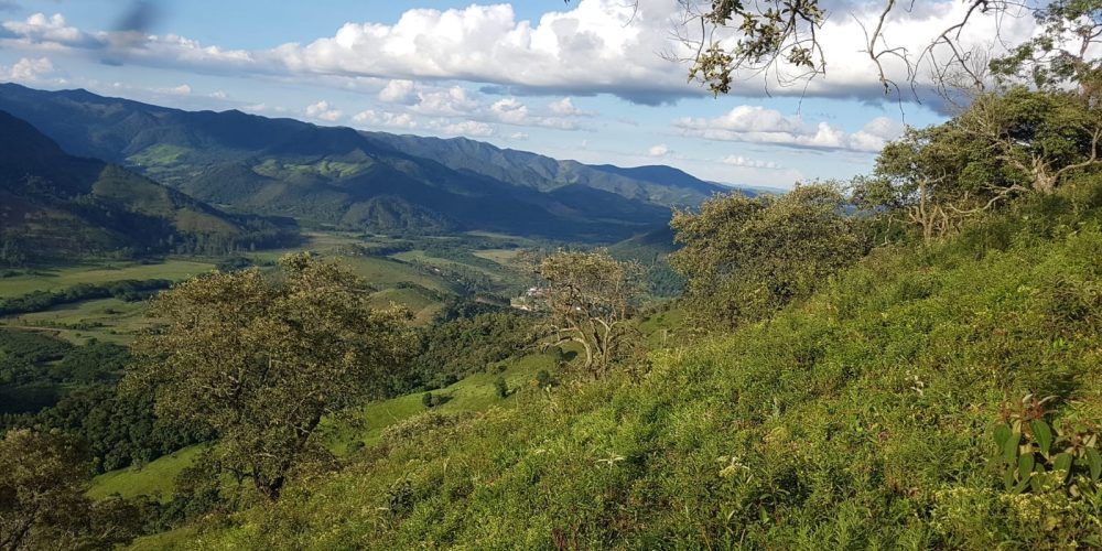 73ac4f62-78e5-4ba8-96c0-7eb20de3f78d