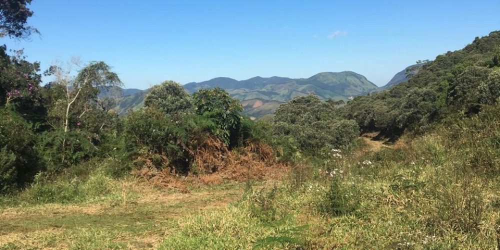 73c75bb3-e8fd-48bc-ba0e-7d3f4aec4c3c