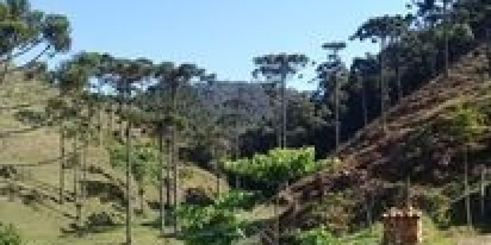 76ebd0f9-83e6-442e-98f9-5cce87fc2935