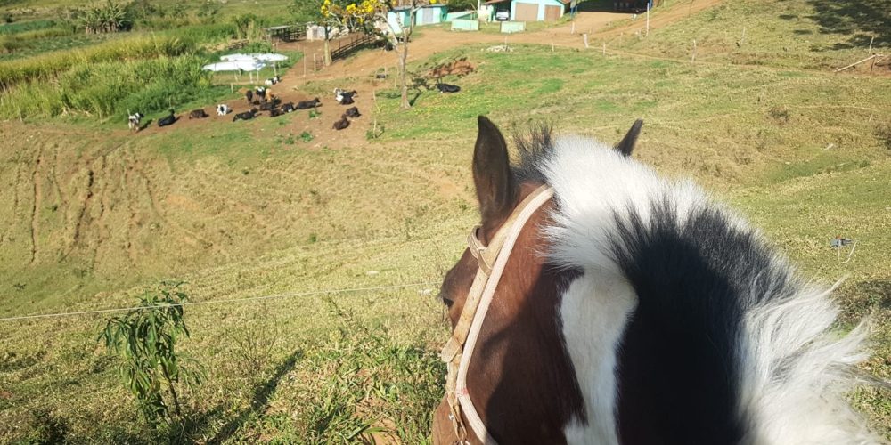 7c6c1925-42b3-4b6f-a61e-55438e82bb7b