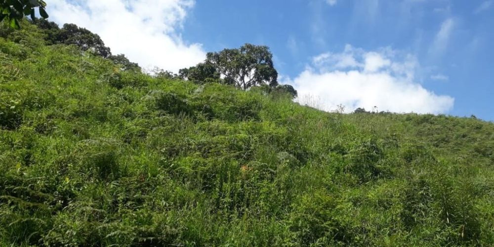 7f64c17e-cd13-42c3-809c-813e36e1f4dc