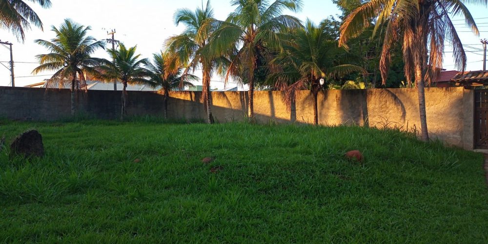 813aaac6-bf5d-4d65-b7c7-fb39aa84287c