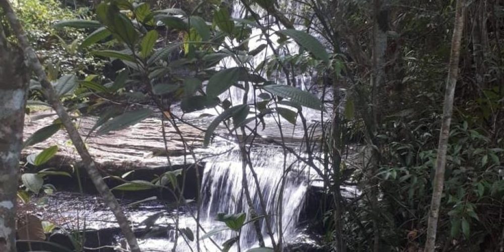 8177bb16-63cf-4689-8f40-ffbcde188172