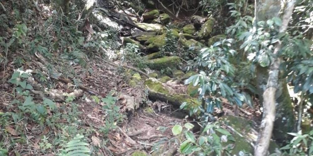 8221e1d5-fb27-48af-b8e9-c86d744db2b9