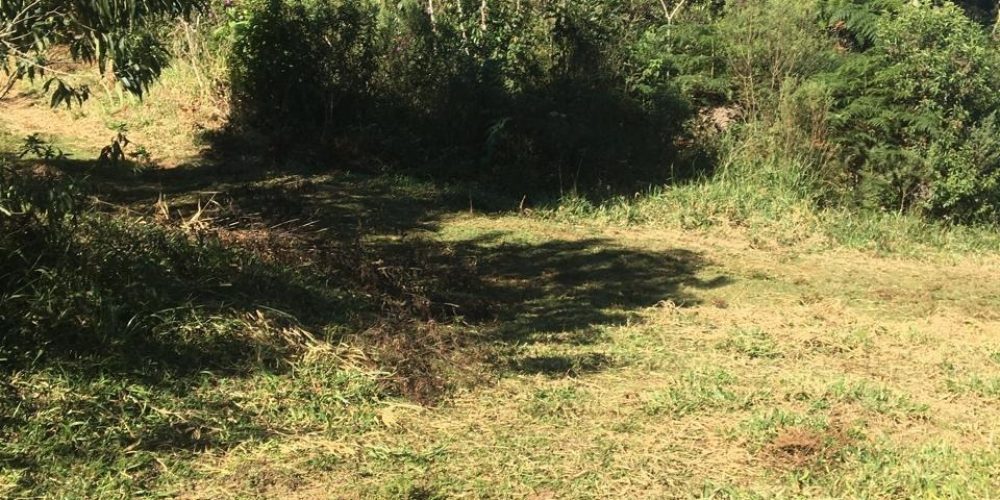 84a1da90-41d2-469b-8225-36880dc380e9