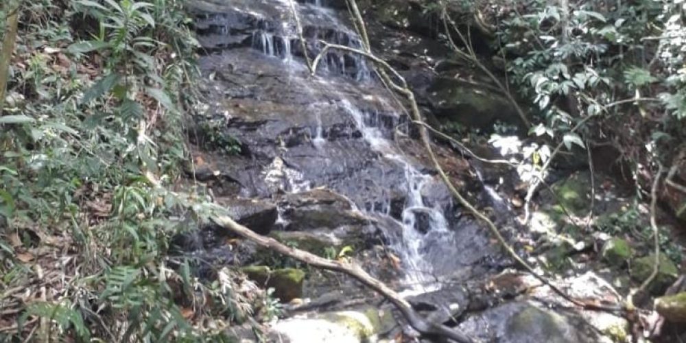 84efaf59-1d21-43ac-8e96-2548056b90c3