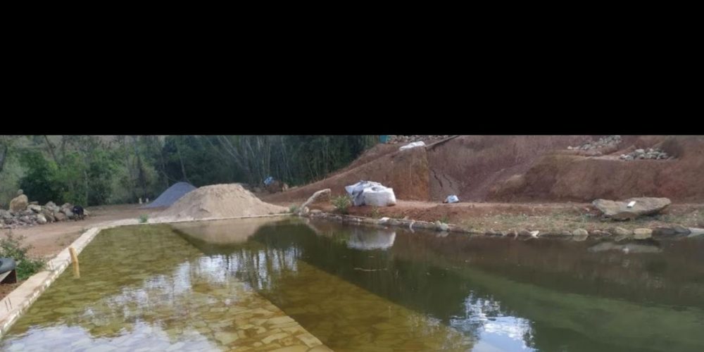 858f49cf-8175-4a5b-b8d8-3ec89df8a357