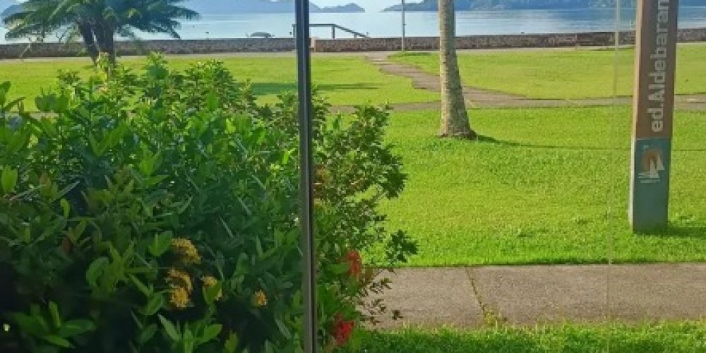 8c019f4b-09e3-49c1-9b4d-82e348fb0d9e