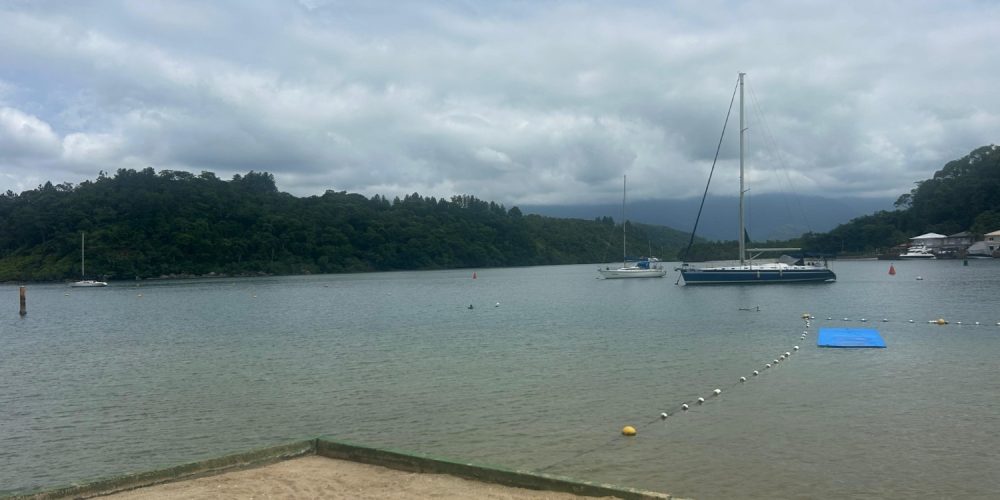 8d82c9c3-0697-42e4-8a9b-dd6edbd0af28